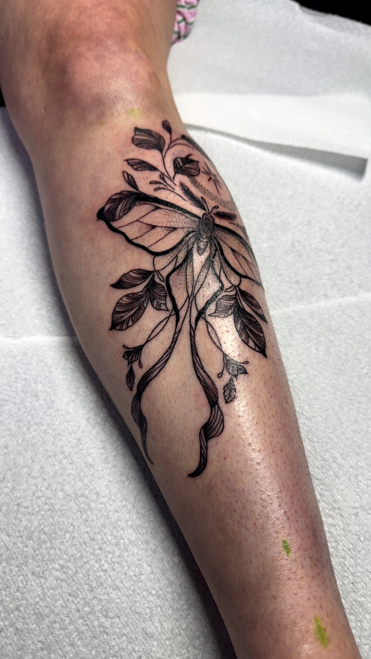 Fine-line black ink moth tattoo with botanical leaves on the calf